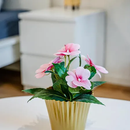 Apartment Zenit Residence- New Modern Ac Garage